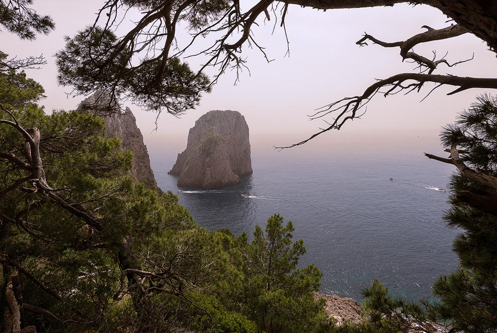 Capri