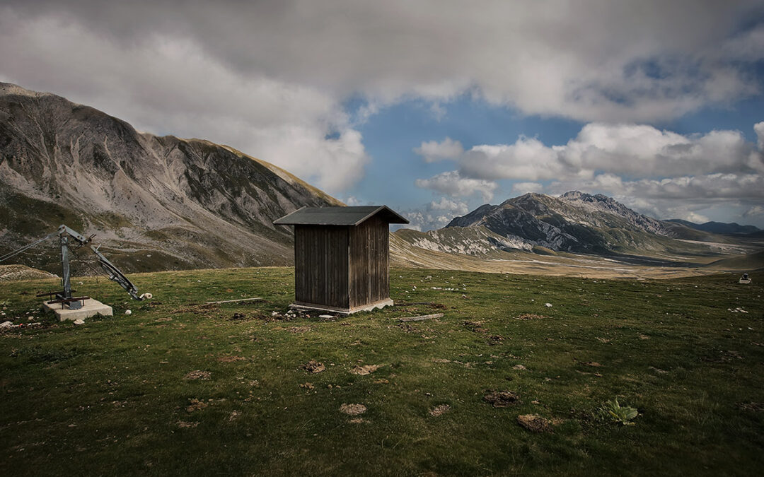 The Shelter