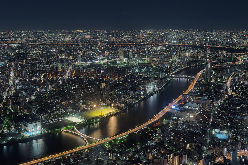 Tokyo Nights