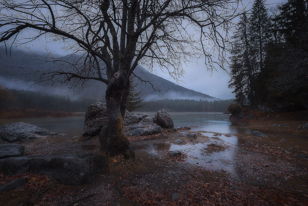 Waiting for the Night
